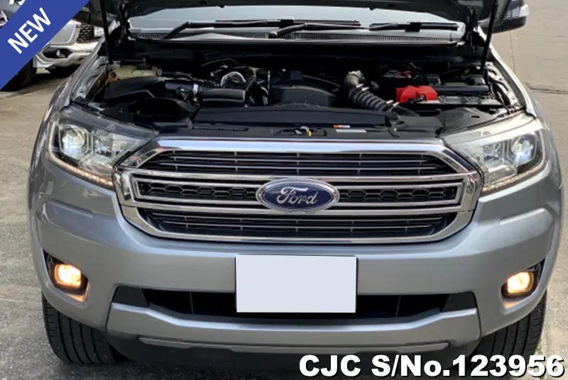 Ford Ranger in Silver for Sale Image 11