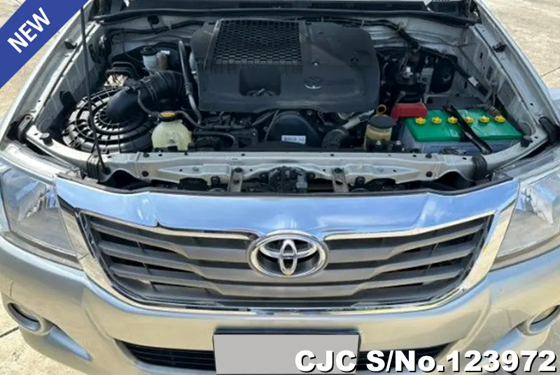 2013 Toyota / Hilux / Vigo Stock No. 123972