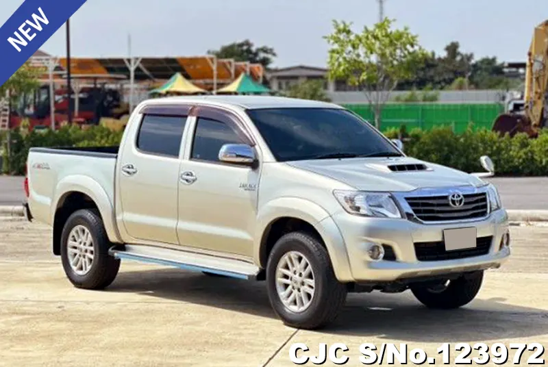 2013 Toyota / Hilux / Vigo Stock No. 123972