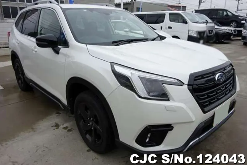 2024 Subaru / Forester Stock No. 124043