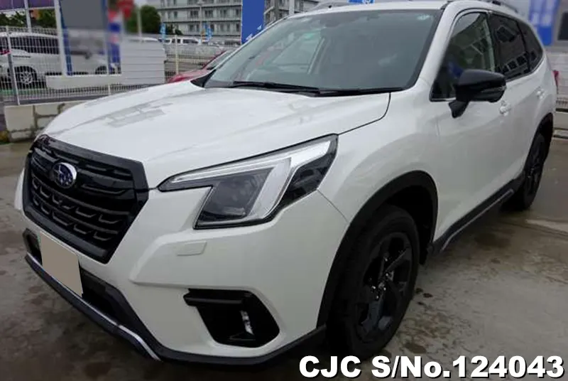 2024 Subaru / Forester Stock No. 124043