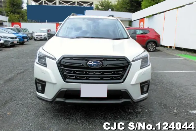 2024 Subaru / Forester Stock No. 124044