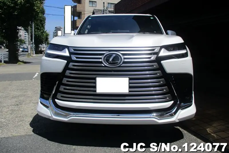 2024 Lexus / LX 600 Stock No. 124077