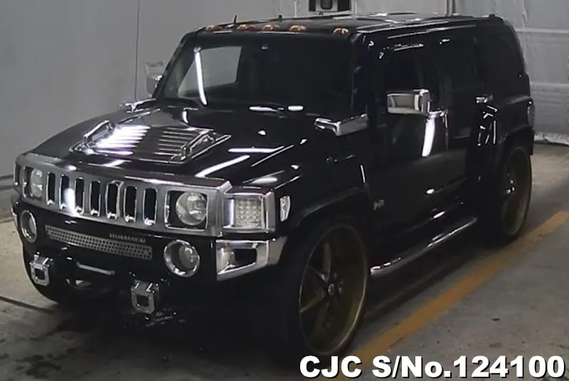 2010 Hummer / H3 Stock No. 124100