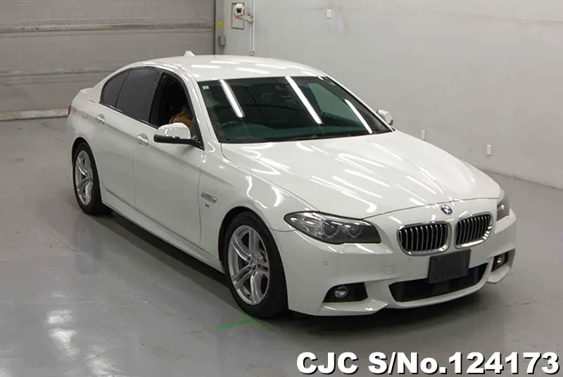 2017 BMW / 5 Series Stock No. 124173