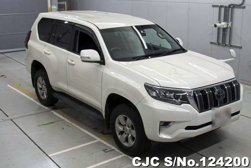 2017 Toyota / Land Cruiser Prado Stock No. 124200