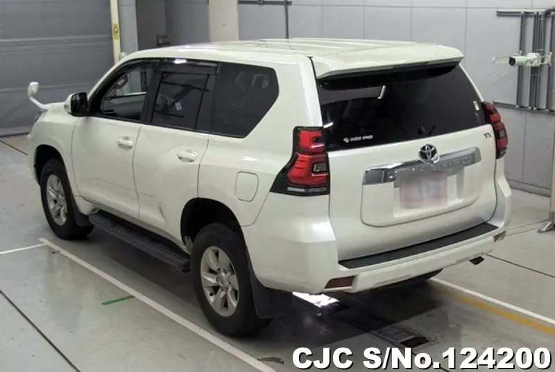 2017 Toyota / Land Cruiser Prado Stock No. 124200