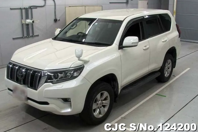 2017 Toyota / Land Cruiser Prado Stock No. 124200