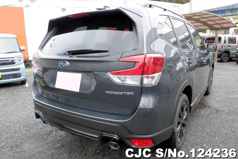 2024 Subaru / Forester Stock No. 124236