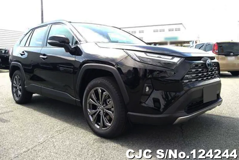 2025 Toyota / Rav4 Stock No. 124244