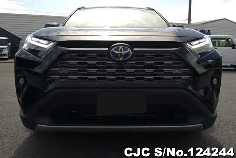 2025 Toyota / Rav4 Stock No. 124244