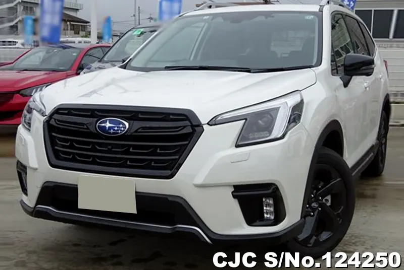 2024 Subaru / Forester Stock No. 124250