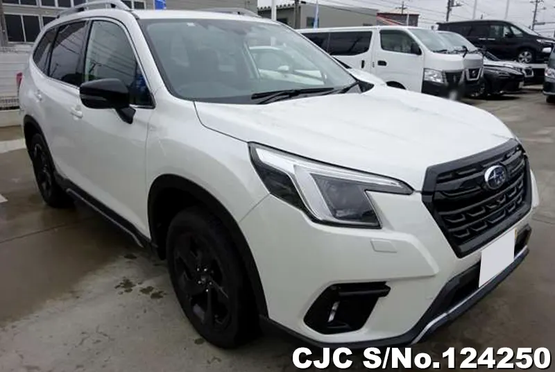 2024 Subaru / Forester Stock No. 124250