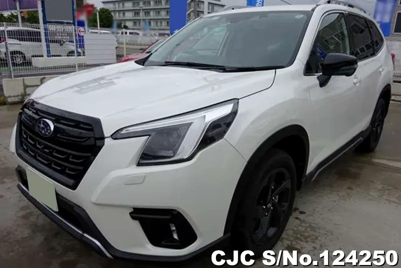 2024 Subaru / Forester Stock No. 124250