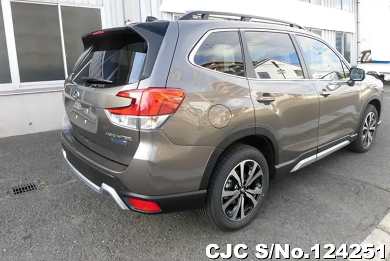 2024 Subaru / Forester Stock No. 124251