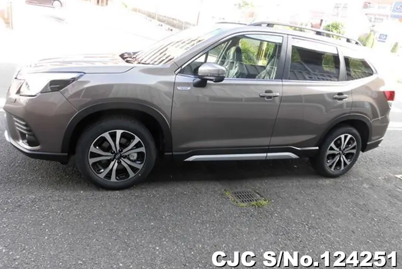 2024 Subaru / Forester Stock No. 124251