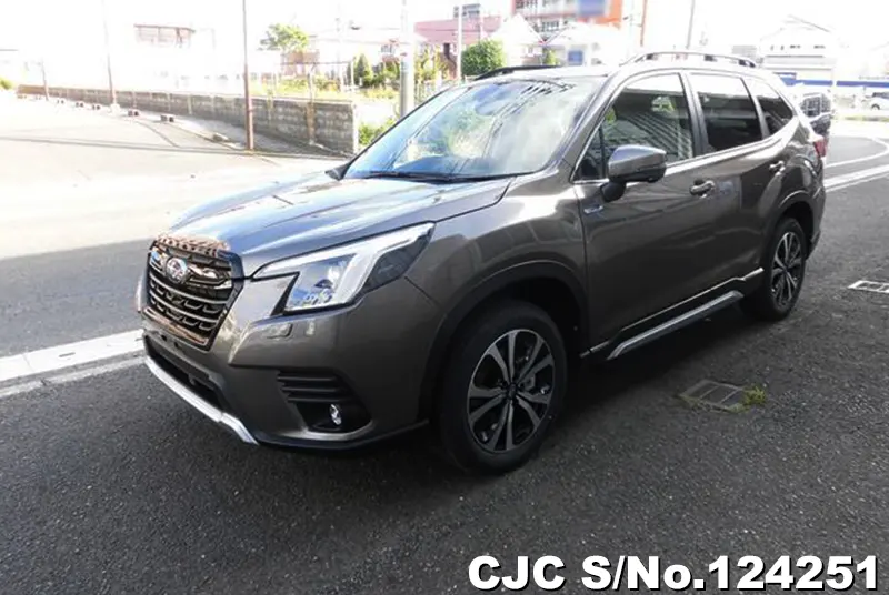 2024 Subaru / Forester Stock No. 124251