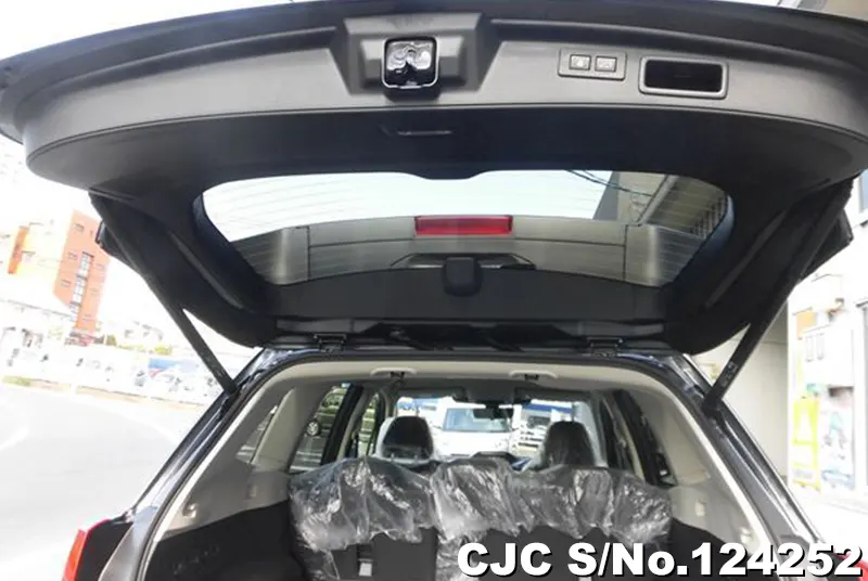 2024 Subaru / Forester Stock No. 124252