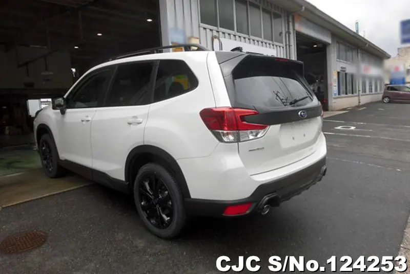 2024 Subaru / Forester Stock No. 124253