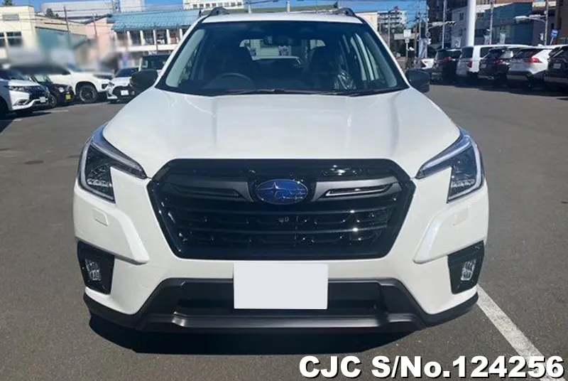 2024 Subaru / Forester Stock No. 124256