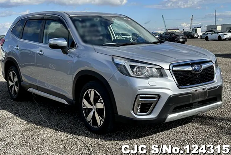 2019 Subaru / Forester Stock No. 124315