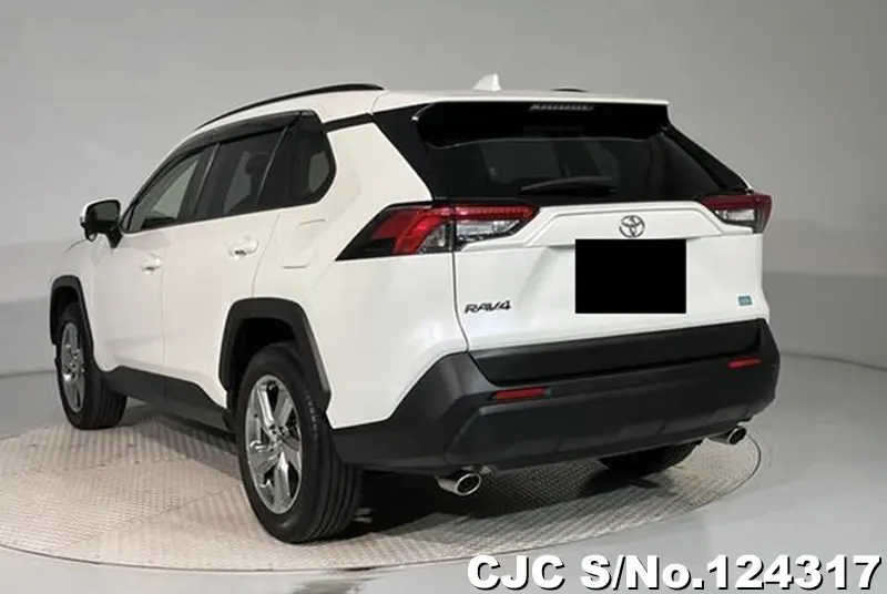 2020 Toyota / Rav4 Stock No. 124317