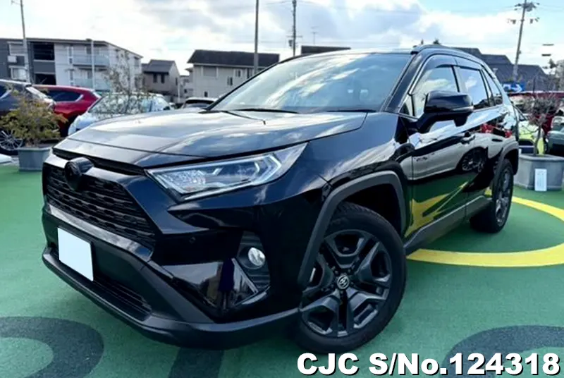 2020 Toyota / Rav4 Stock No. 124318