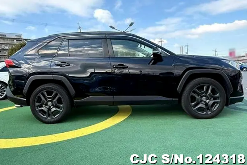 2020 Toyota / Rav4 Stock No. 124318