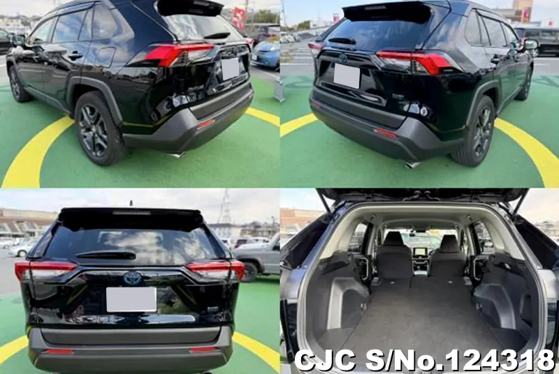 2020 Toyota / Rav4 Stock No. 124318