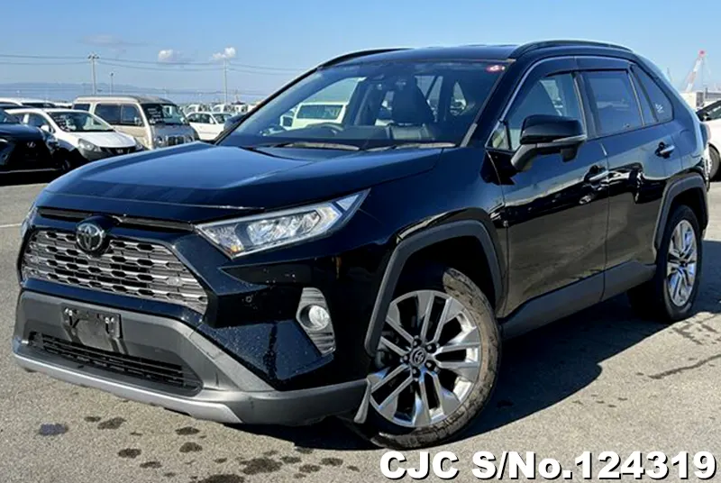 2019 Toyota / Rav4 Stock No. 124319