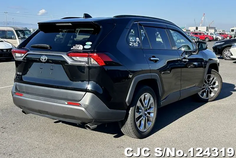 2019 Toyota / Rav4 Stock No. 124319