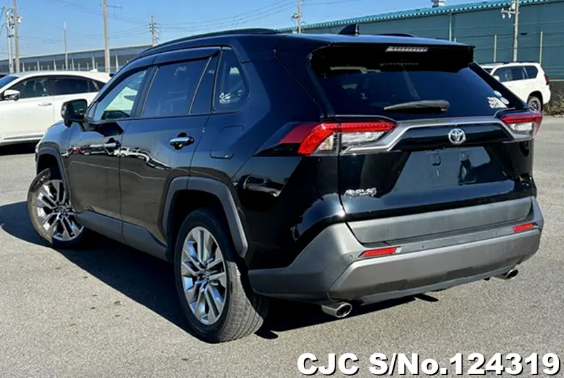 2019 Toyota / Rav4 Stock No. 124319