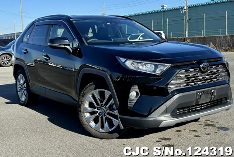 2019 Toyota / Rav4 Stock No. 124319