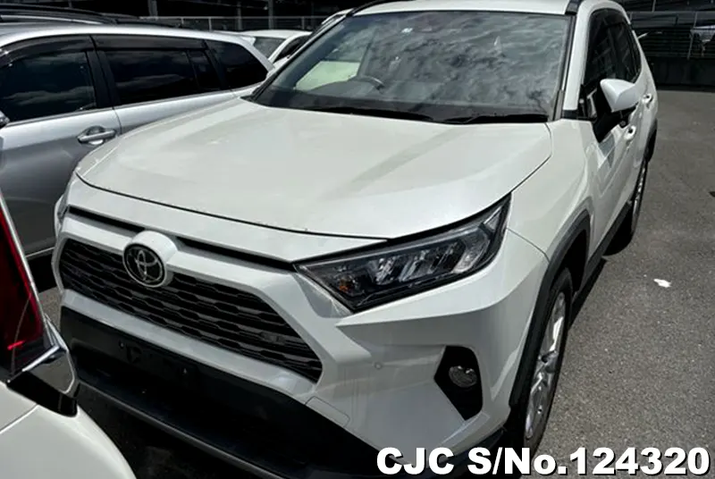 2019 Toyota / Rav4 Stock No. 124320