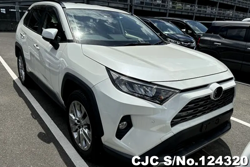 2019 Toyota / Rav4 Stock No. 124320