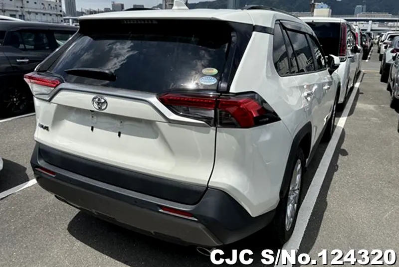 2019 Toyota / Rav4 Stock No. 124320