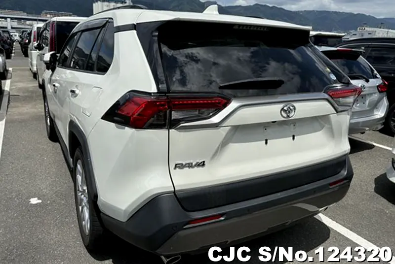 2019 Toyota / Rav4 Stock No. 124320