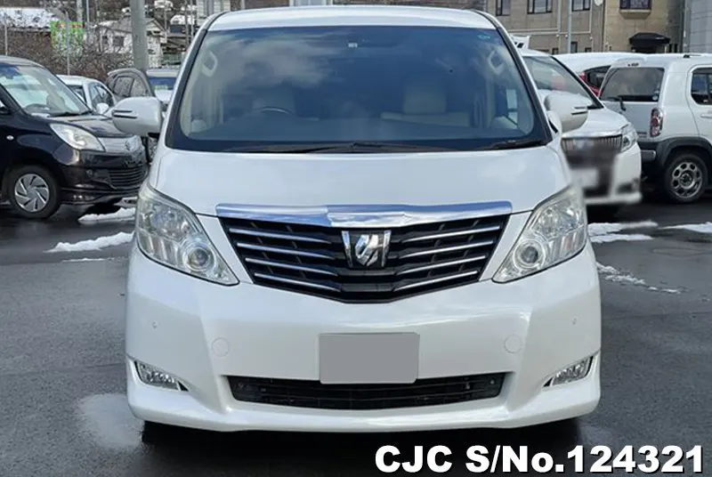 2010 Toyota / Alphard Stock No. 124321