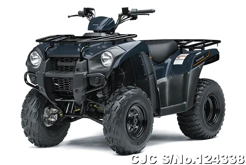 Kawasaki Brute Force 300