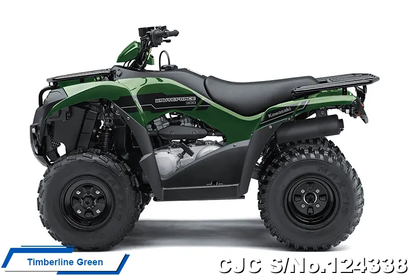 2025 Kawasaki / Brute Force 300 Stock No. 124338