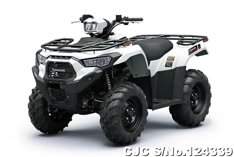 Kawasaki Brute Force 450