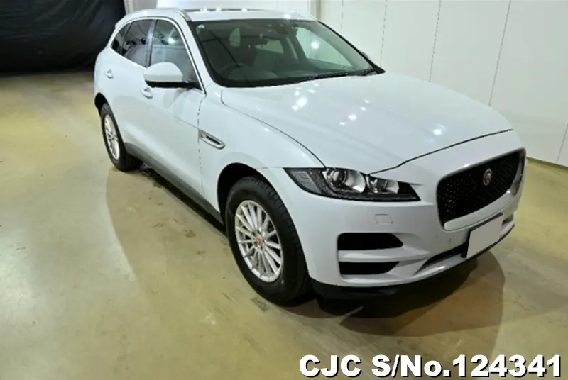 2017 Jaguar / F-Pace Stock No. 124341