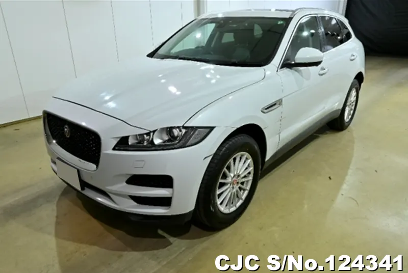 2017 Jaguar / F-Pace Stock No. 124341