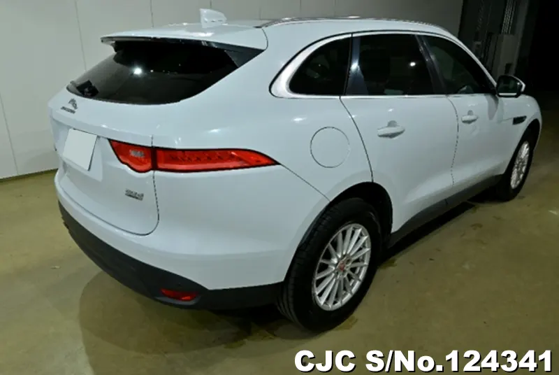 2017 Jaguar / F-Pace Stock No. 124341