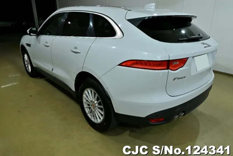 2017 Jaguar / F-Pace Stock No. 124341