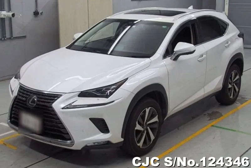 2018 Lexus / NX 300 Stock No. 124346