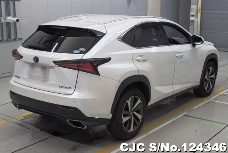 2018 Lexus / NX 300 Stock No. 124346