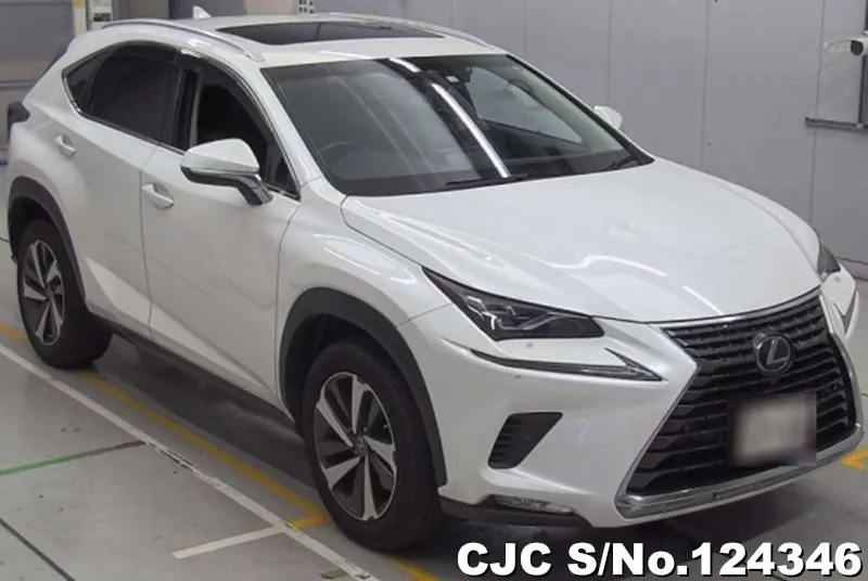 2018 Lexus / NX 300 Stock No. 124346