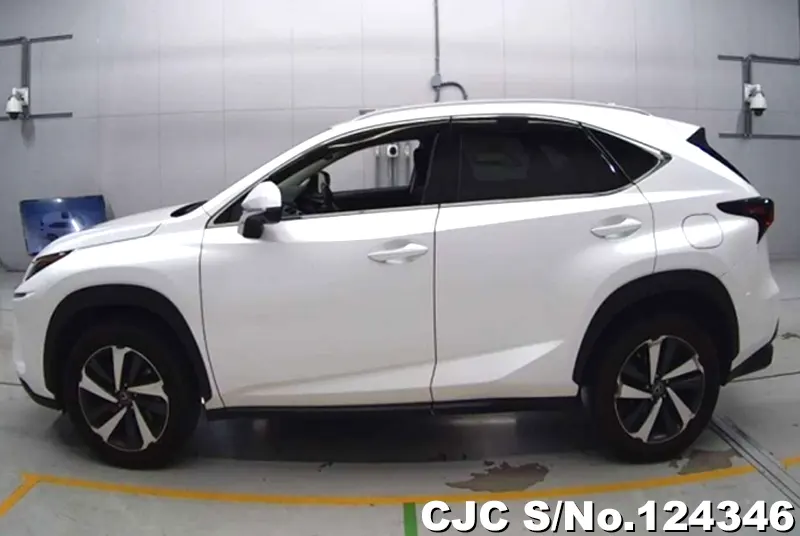 2018 Lexus / NX 300 Stock No. 124346