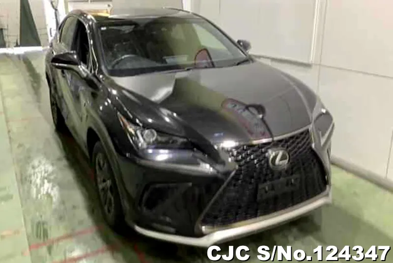 2017 Lexus / NX 300 Stock No. 124347